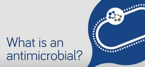 What is an Antimicrobial